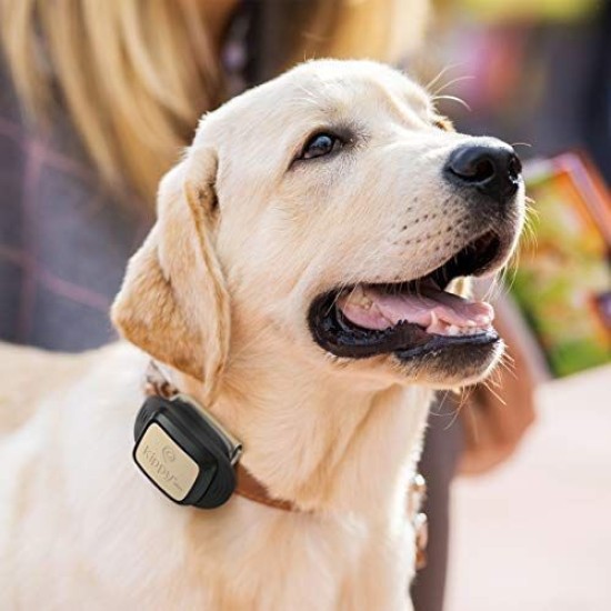 Vodafone GPS Tracker V-Pet Kippy για Κατοικίδια