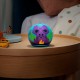 Amazon Echo Dot (5th Gen) Kids Smart Hub Wi-Fi / Bluetooth Συμβατό με Alexa B09L58QFKY B09B96PMLY Amazon Echo Dot (5th Gen) Kids Smart Hub Wi-Fi / Bluetooth Συμβατό με Alexa B09L58QFKY B09B96PMLY